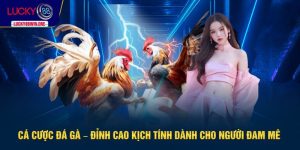 cá cược đá gà