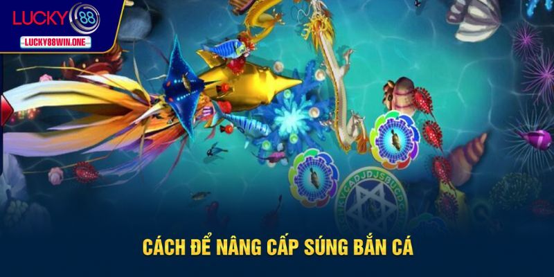 Các bước để nâng cấp súng