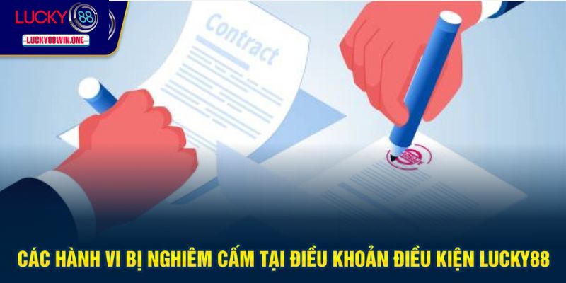 Nghiêm cấm hành vi vi phạm điều khoản Lucky88