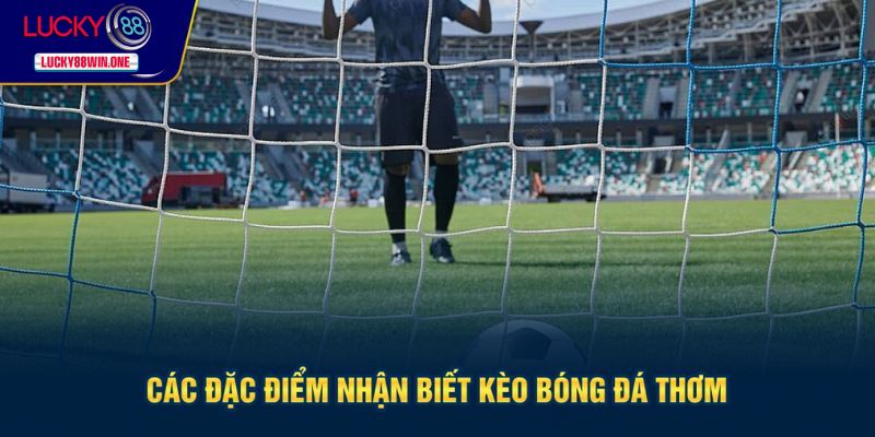 Đặc điểm giúp nhận biết kèo thơm bóng đá