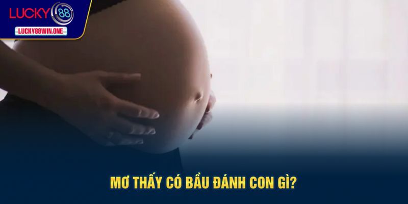 Con số may mắn khi mơ có bầu