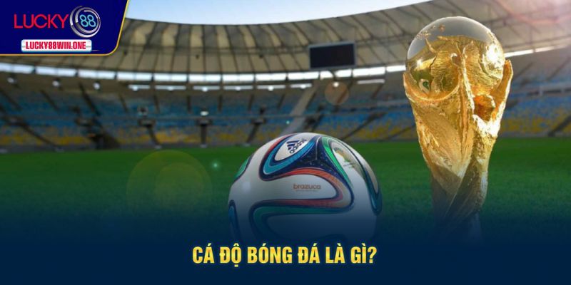 Tìm hiểu về cá độ bóng đá là gì?