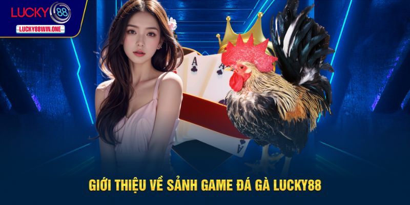 Giới thiệu về sảnh game đá gà Lucky88
