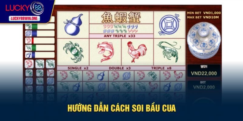 Các bước soi bầu cua cực chuẩn