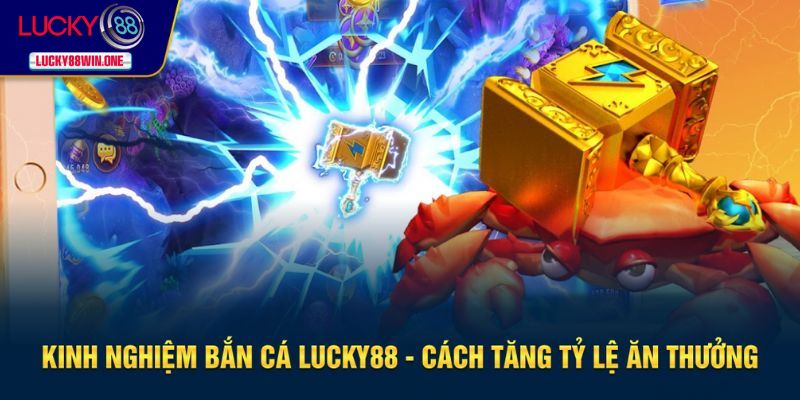 kinh nghiệm bắn cá