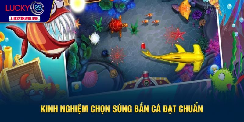 Kinh nghiệm giúp bạn chọn súng phù hợp
