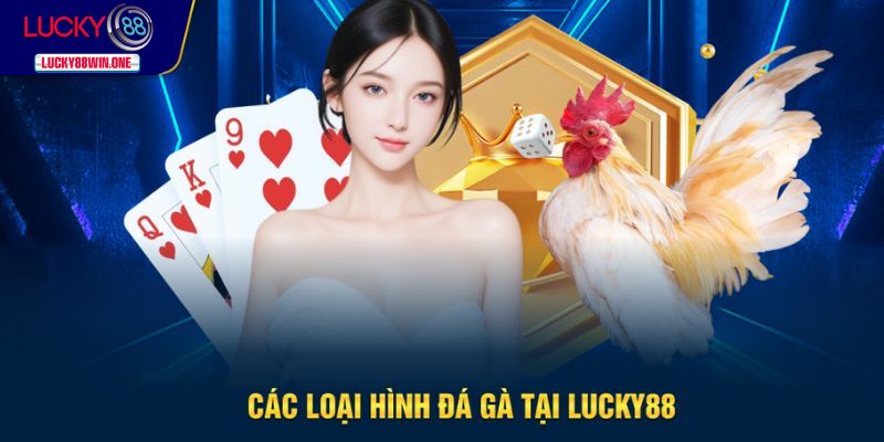 Các loại hình đá gà phổ biến tại nhà cái