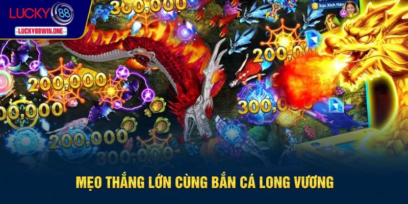 Mẹo chơi để bạn thắng lớn