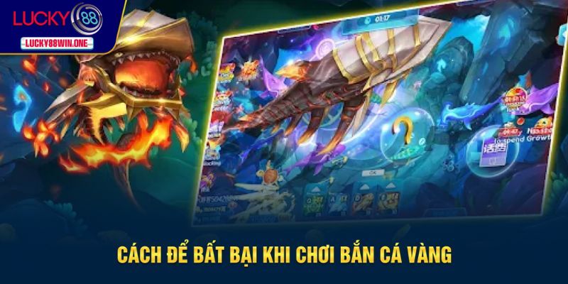 Mẹo hay giúp tân binh nâng tầm