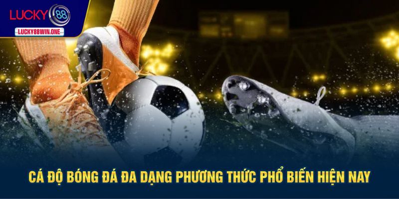 Đa dạng phương thức cá độ thể thao phổ biến