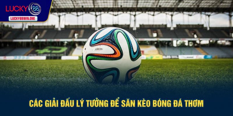 Giải đấu lý tưởng để săn kèo thơm