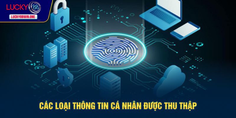 Loại thông tin nằm trong phạm vi thu thập