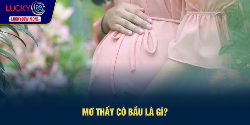 Tìm hiểu mơ thấy có bầu